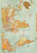 Filc s potiskem 50x70 - Mapa světa