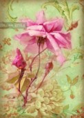 Découp. papír rýžový A4 - Antická růže