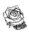 Razítko dřevěné - Růže