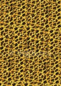Filc s potiskem 50x70 - Leopardí kůže